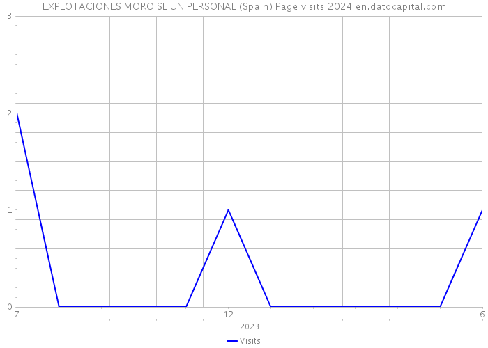 EXPLOTACIONES MORO SL UNIPERSONAL (Spain) Page visits 2024 