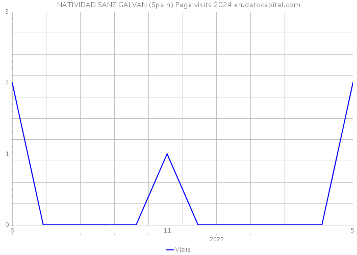 NATIVIDAD SANZ GALVAN (Spain) Page visits 2024 