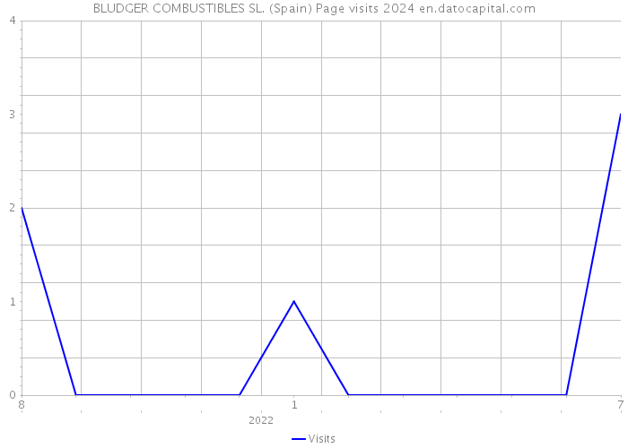 BLUDGER COMBUSTIBLES SL. (Spain) Page visits 2024 