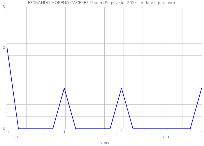 FERNANDO MORENO CACERES (Spain) Page visits 2024 