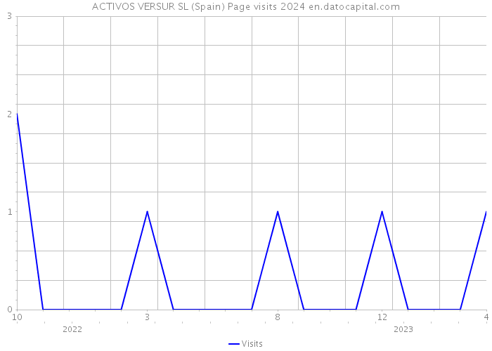 ACTIVOS VERSUR SL (Spain) Page visits 2024 