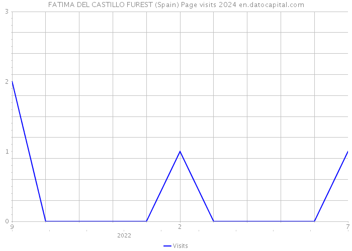 FATIMA DEL CASTILLO FUREST (Spain) Page visits 2024 