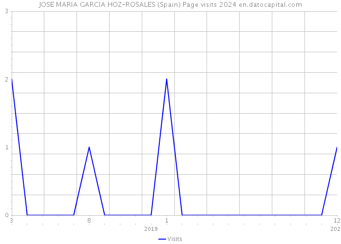 JOSE MARIA GARCIA HOZ-ROSALES (Spain) Page visits 2024 