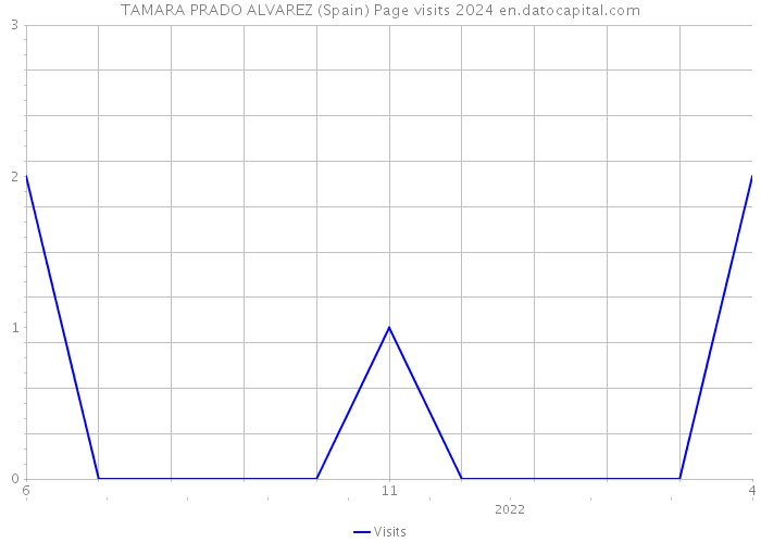 TAMARA PRADO ALVAREZ (Spain) Page visits 2024 