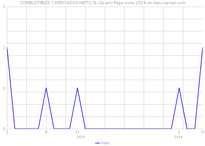 COMBUSTIBLES Y DERIVADOS NIETO SL (Spain) Page visits 2024 