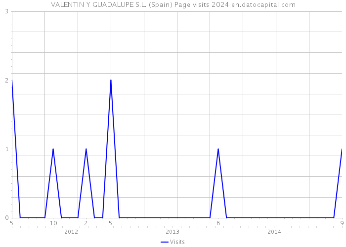 VALENTIN Y GUADALUPE S.L. (Spain) Page visits 2024 