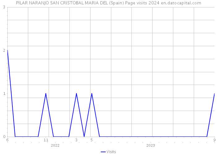 PILAR NARANJO SAN CRISTOBAL MARIA DEL (Spain) Page visits 2024 