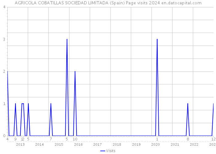 AGRICOLA COBATILLAS SOCIEDAD LIMITADA (Spain) Page visits 2024 