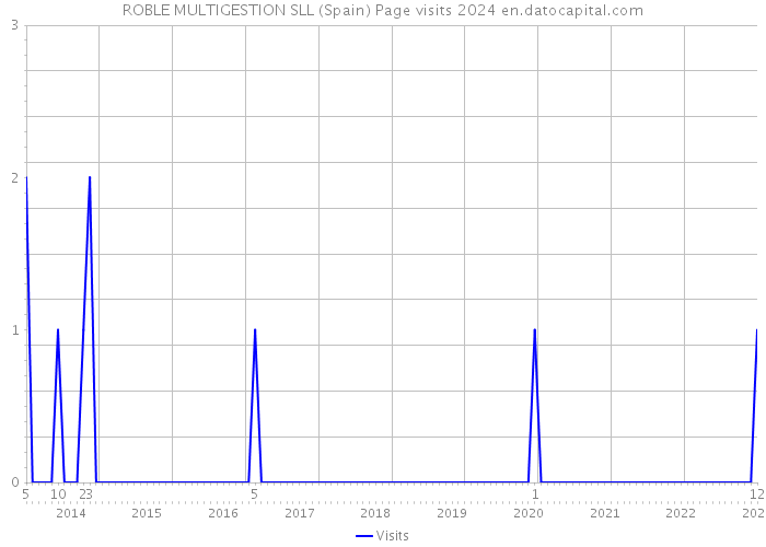 ROBLE MULTIGESTION SLL (Spain) Page visits 2024 