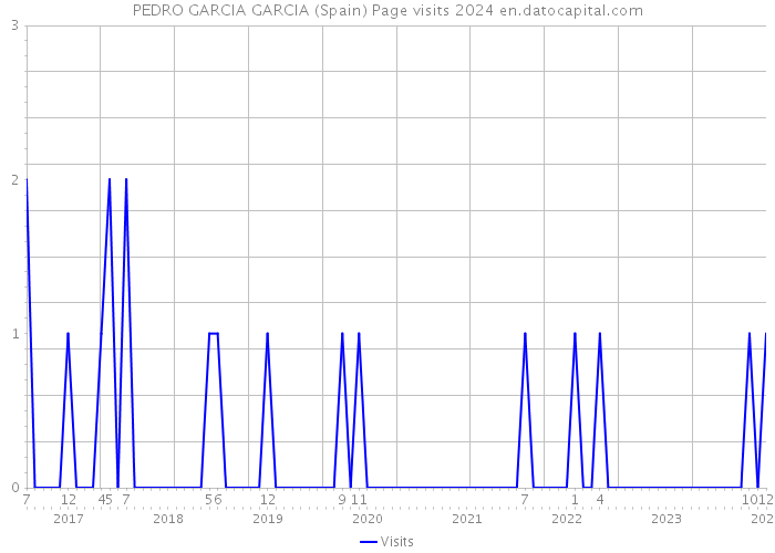 PEDRO GARCIA GARCIA (Spain) Page visits 2024 