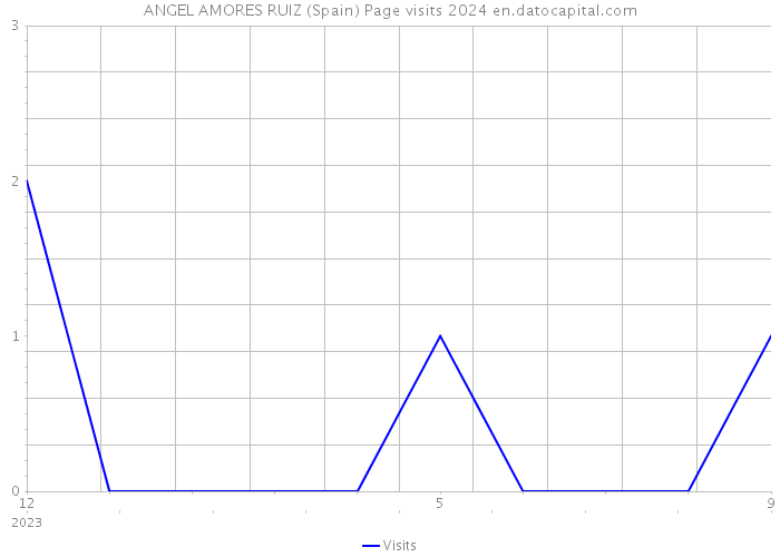 ANGEL AMORES RUIZ (Spain) Page visits 2024 