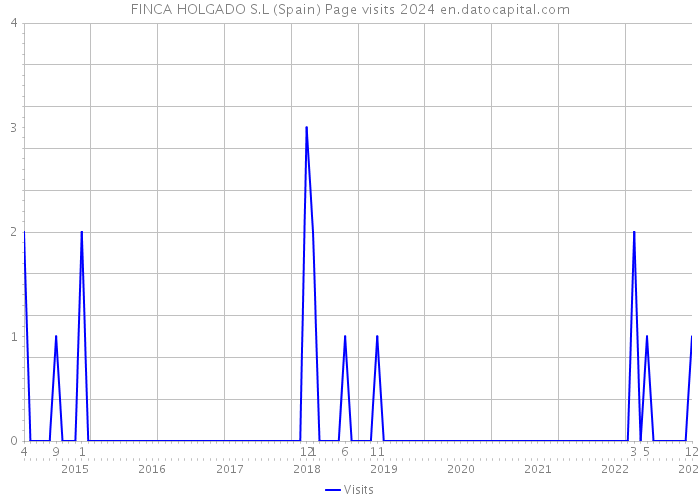 FINCA HOLGADO S.L (Spain) Page visits 2024 