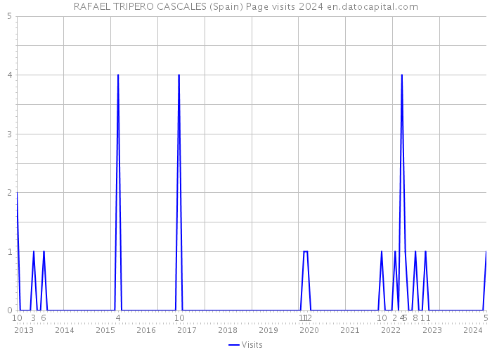 RAFAEL TRIPERO CASCALES (Spain) Page visits 2024 