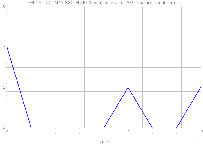 FERNANDO TAMARGO PELAEZ (Spain) Page visits 2024 