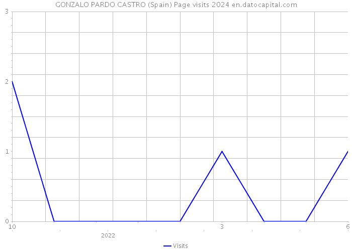GONZALO PARDO CASTRO (Spain) Page visits 2024 