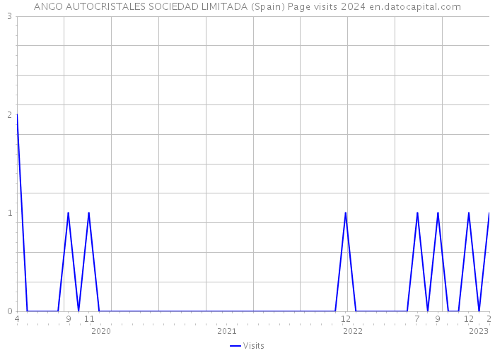 ANGO AUTOCRISTALES SOCIEDAD LIMITADA (Spain) Page visits 2024 