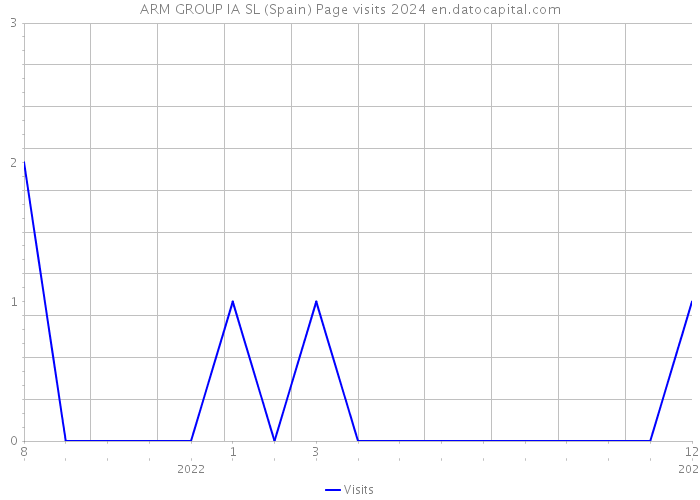 ARM GROUP IA SL (Spain) Page visits 2024 