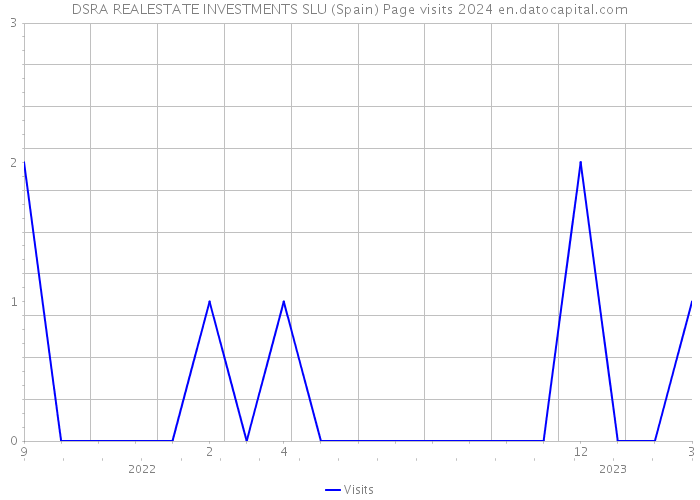 DSRA REALESTATE INVESTMENTS SLU (Spain) Page visits 2024 