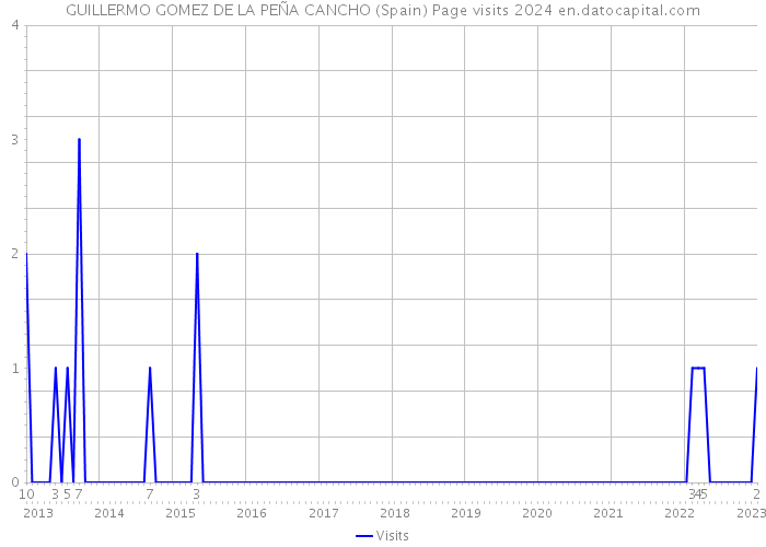 GUILLERMO GOMEZ DE LA PEÑA CANCHO (Spain) Page visits 2024 