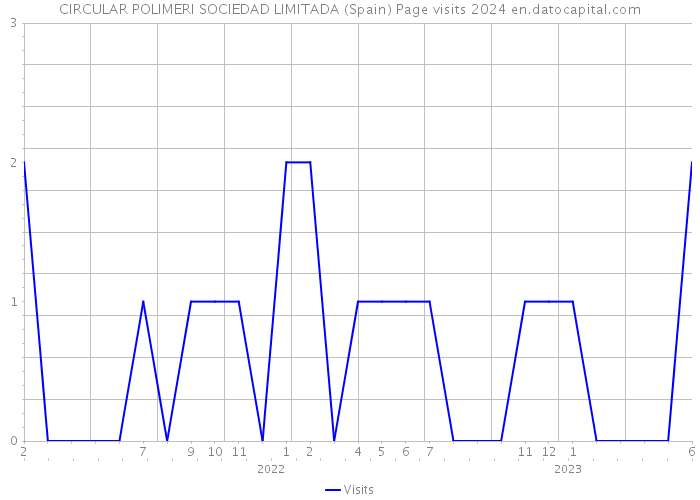 CIRCULAR POLIMERI SOCIEDAD LIMITADA (Spain) Page visits 2024 