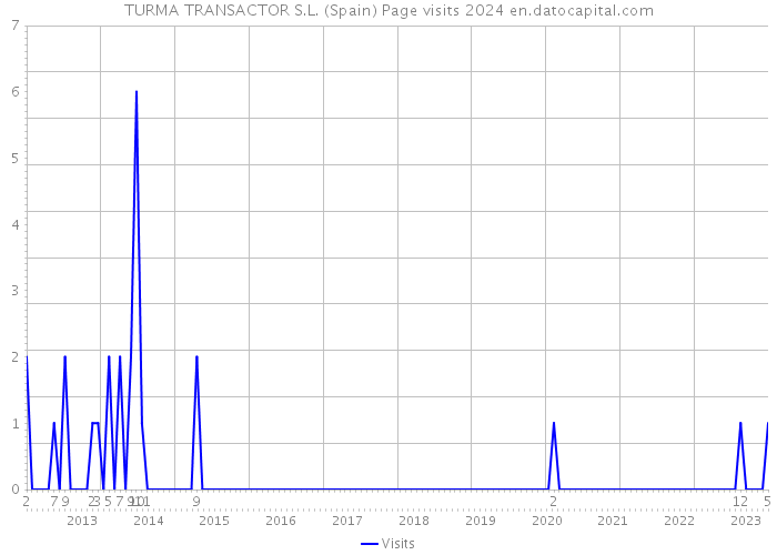 TURMA TRANSACTOR S.L. (Spain) Page visits 2024 