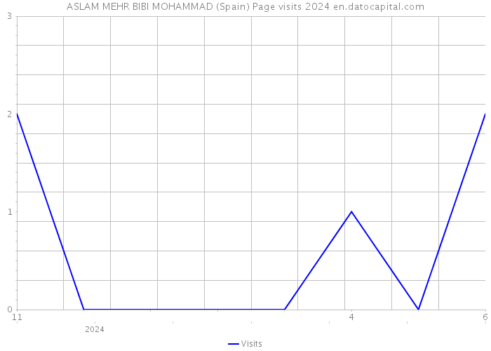 ASLAM MEHR BIBI MOHAMMAD (Spain) Page visits 2024 