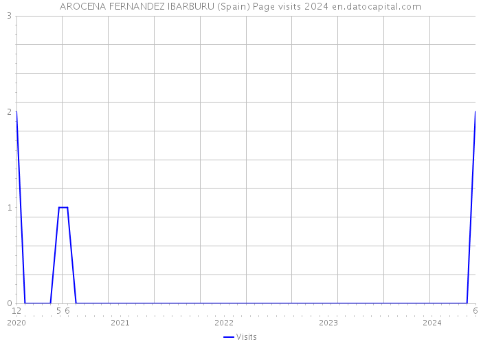 AROCENA FERNANDEZ IBARBURU (Spain) Page visits 2024 