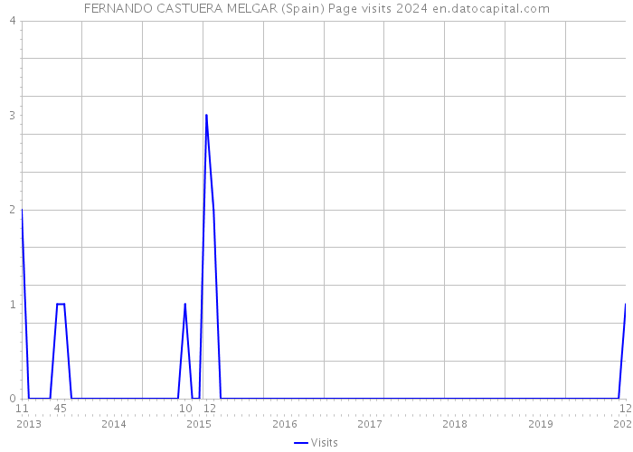 FERNANDO CASTUERA MELGAR (Spain) Page visits 2024 