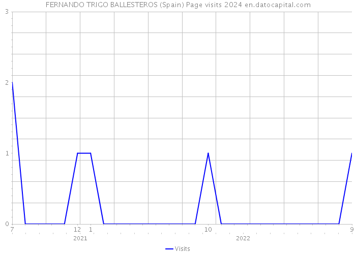FERNANDO TRIGO BALLESTEROS (Spain) Page visits 2024 