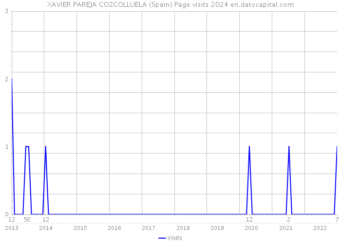XAVIER PAREJA COZCOLLUELA (Spain) Page visits 2024 