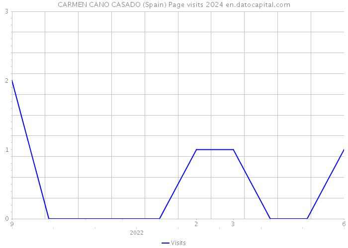 CARMEN CANO CASADO (Spain) Page visits 2024 