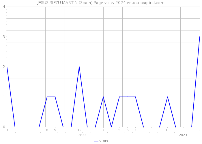 JESUS RIEZU MARTIN (Spain) Page visits 2024 