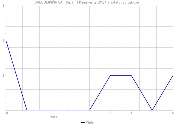 SALGUEIRIÑA SAT (Spain) Page visits 2024 