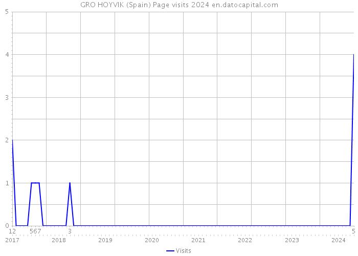 GRO HOYVIK (Spain) Page visits 2024 