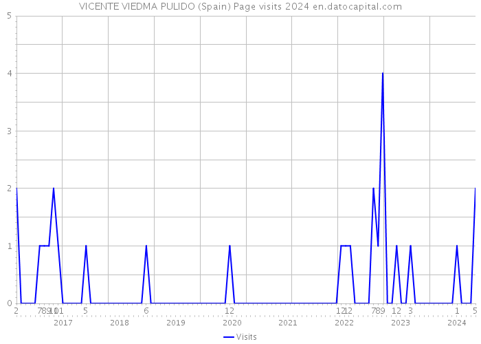 VICENTE VIEDMA PULIDO (Spain) Page visits 2024 
