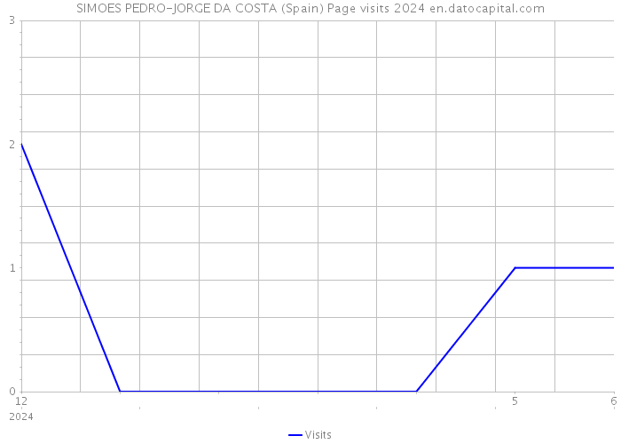 SIMOES PEDRO-JORGE DA COSTA (Spain) Page visits 2024 