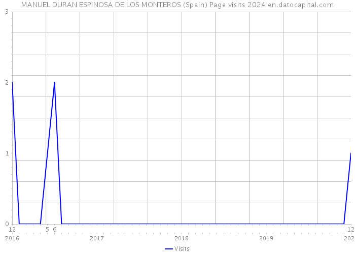 MANUEL DURAN ESPINOSA DE LOS MONTEROS (Spain) Page visits 2024 