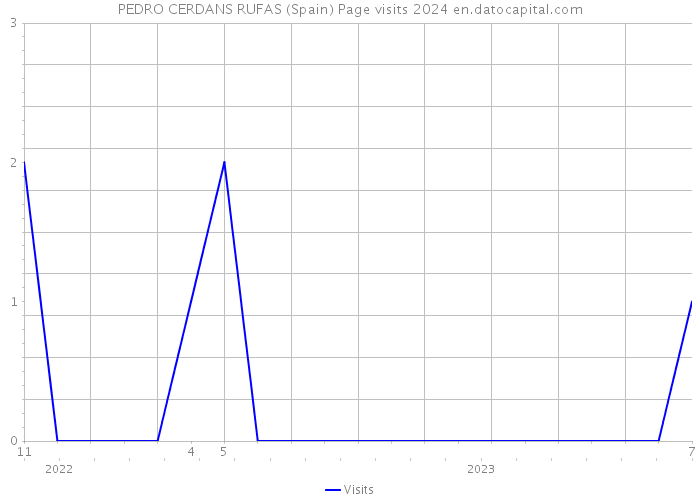 PEDRO CERDANS RUFAS (Spain) Page visits 2024 