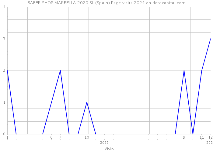 BABER SHOP MARBELLA 2020 SL (Spain) Page visits 2024 