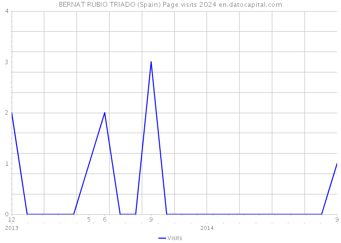 BERNAT RUBIO TRIADO (Spain) Page visits 2024 