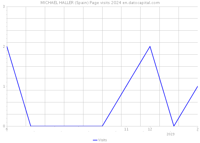 MICHAEL HALLER (Spain) Page visits 2024 