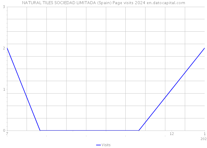 NATURAL TILES SOCIEDAD LIMITADA (Spain) Page visits 2024 