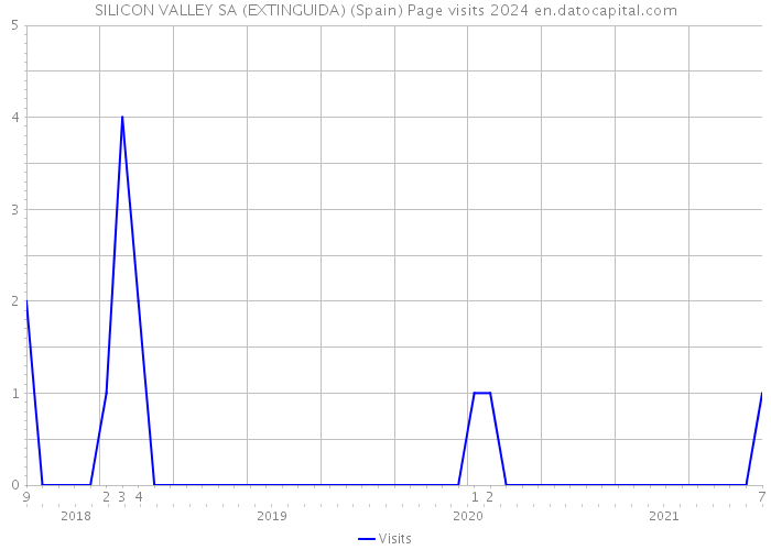 SILICON VALLEY SA (EXTINGUIDA) (Spain) Page visits 2024 