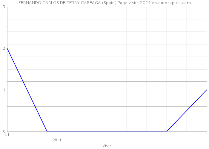 FERNANDO CARLOS DE TERRY CAREAGA (Spain) Page visits 2024 