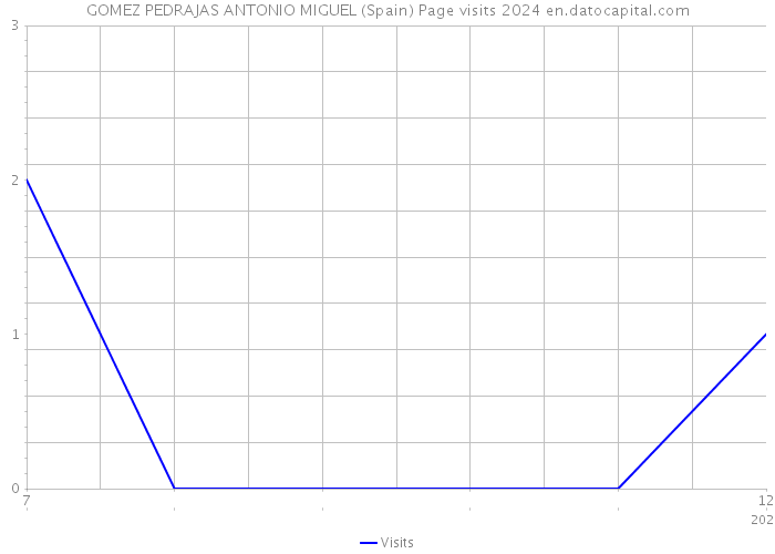 GOMEZ PEDRAJAS ANTONIO MIGUEL (Spain) Page visits 2024 