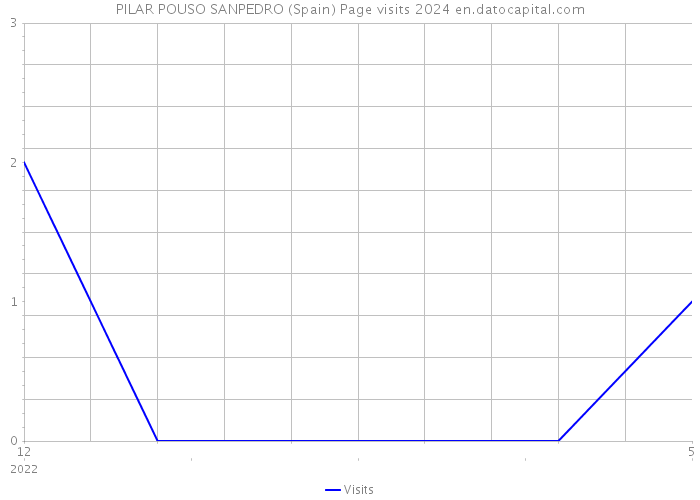PILAR POUSO SANPEDRO (Spain) Page visits 2024 