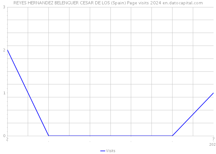 REYES HERNANDEZ BELENGUER CESAR DE LOS (Spain) Page visits 2024 