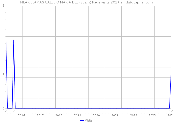 PILAR LLAMAS CALLEJO MARIA DEL (Spain) Page visits 2024 