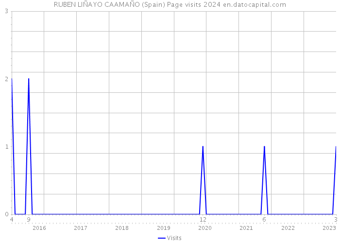 RUBEN LIÑAYO CAAMAÑO (Spain) Page visits 2024 