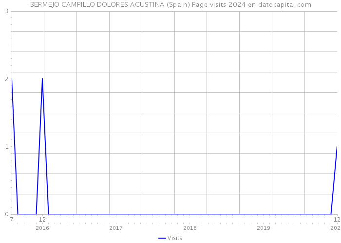 BERMEJO CAMPILLO DOLORES AGUSTINA (Spain) Page visits 2024 